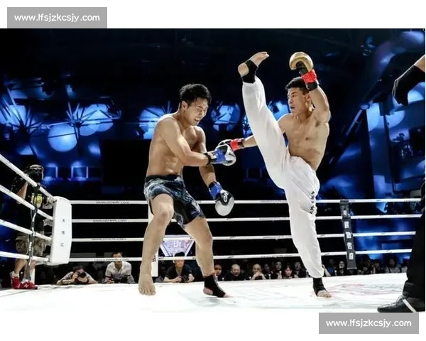 布莱德海登对决一龙擂台之上东西武术风格的巅峰碰撞解析全面观察
